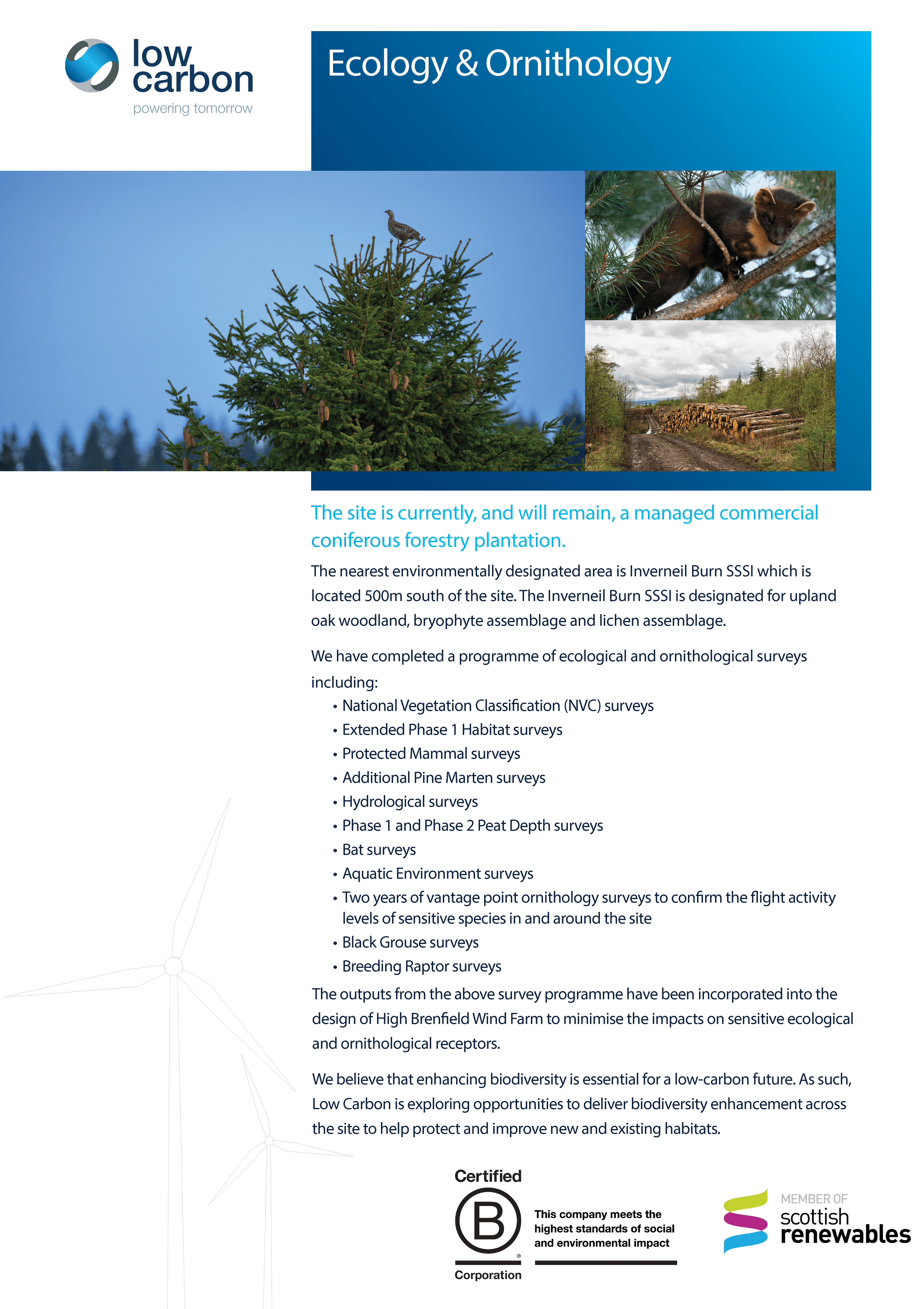 Ecology & Ornithology