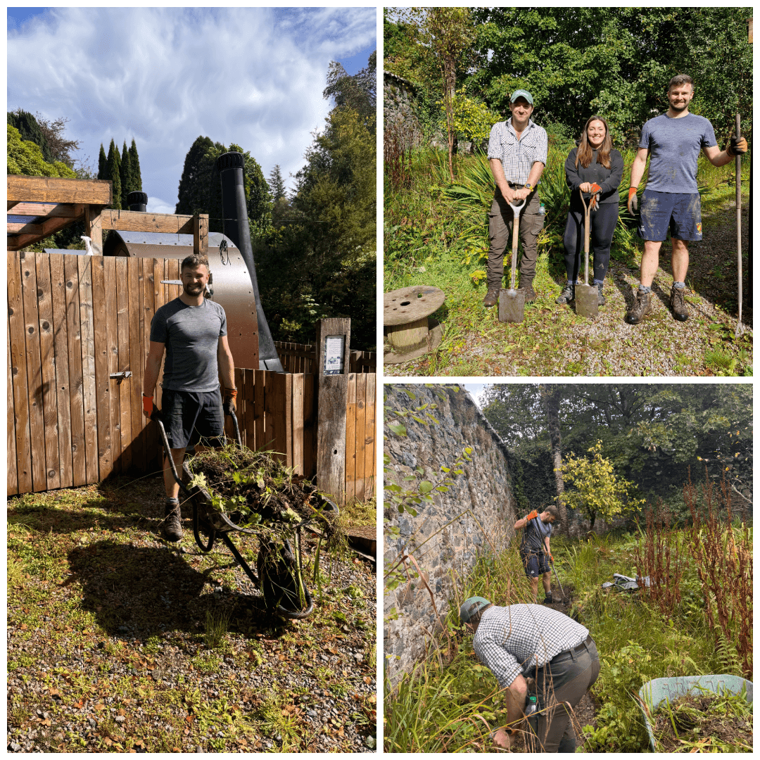 photo-collage.png (3).png